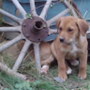 Meet your Posher, Jenn